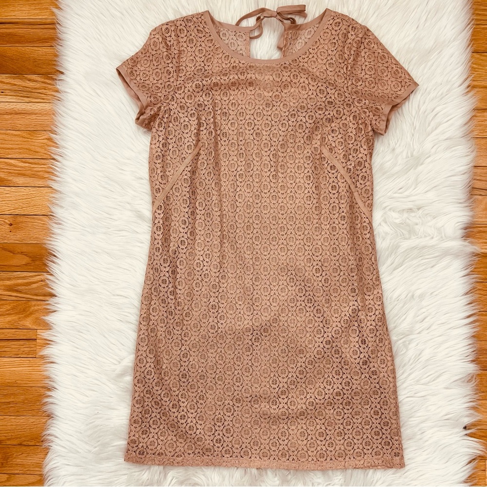 LOFT Rose Gold Elegant Lace Shift Dress Women’s Sz 6 Dinner Date Night
